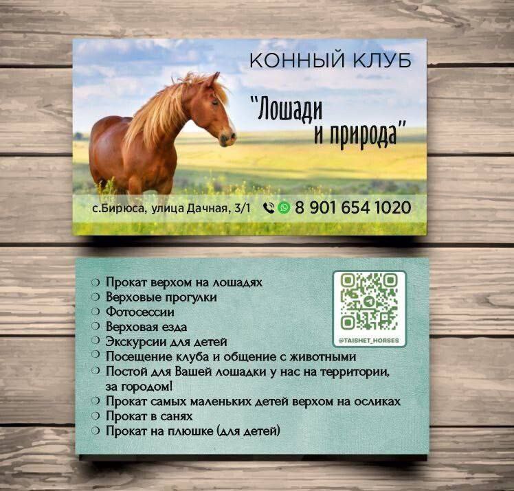 Конный клуб «Лошади и природа» в Бирюсе