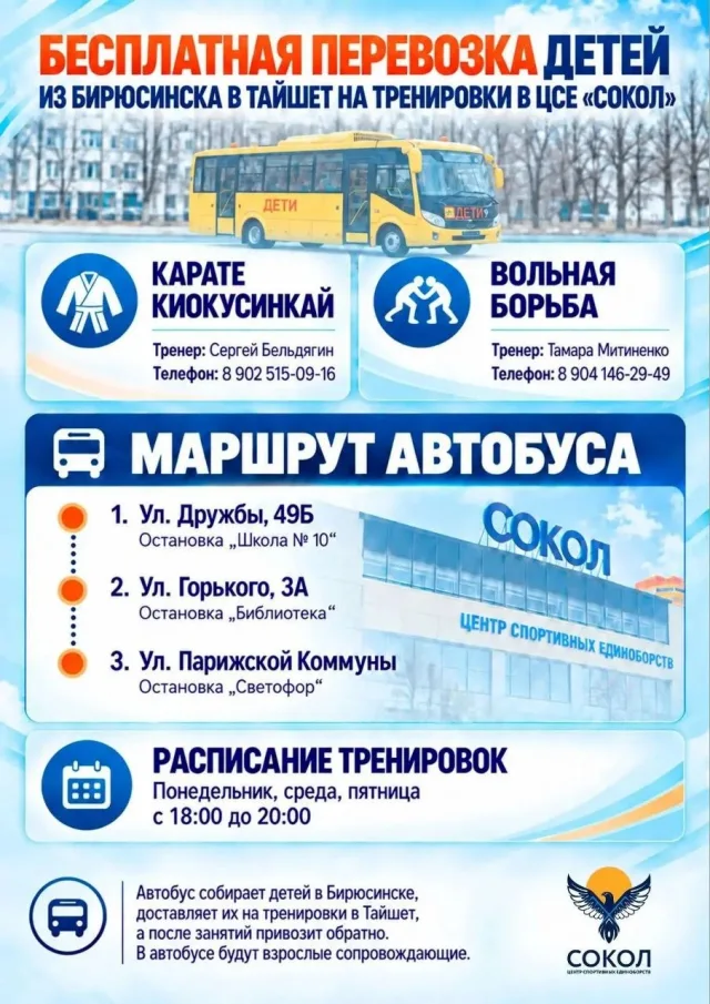 Для детей из Бирюсинска организовали бесплатный автобус на тренировки в Тайшет